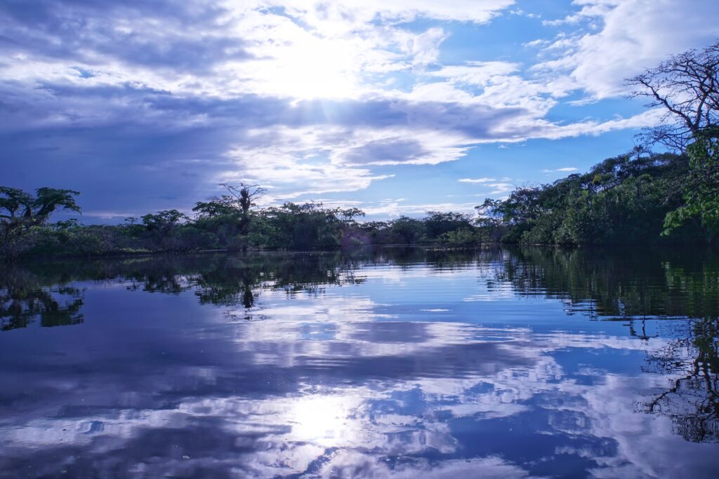 Amazzonia