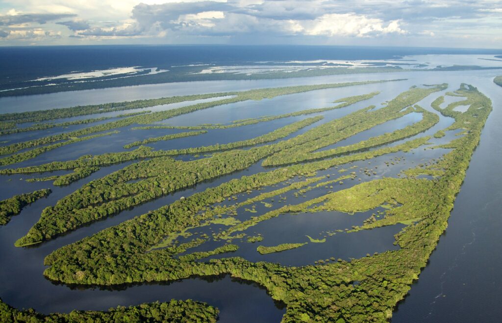 Amazzonia Rio Negro